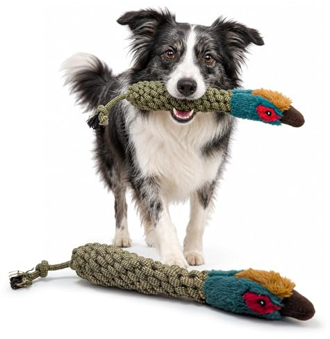 HugglePets Legacy 'Patricia Pheasant' Plush Rope Dog Toy - 45cm Rope Bird Squeaky Dog Toys Tug of War Rope Toy. Soft Plush Head & Ropey Body. Eco-friendly Tough Build with In-Built Squeak Sound.