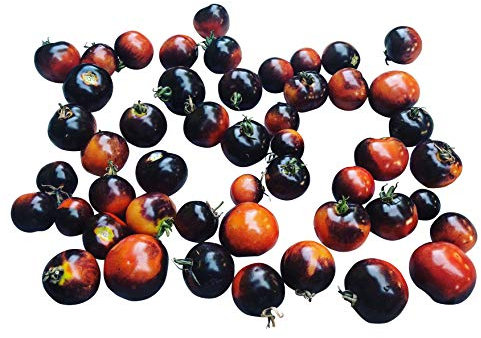 100 graines de fraise légumineuses fruits graines (violet clair), 20PCS, Tomato