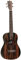 Tanglewood® TWT-20 Baritone-Ukulele aus Ebenholz mit Satin-Finish und Laser-Cut-Rosette, Gig Bag