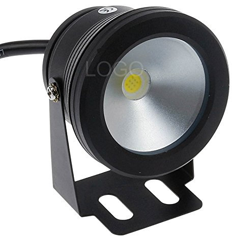 EBILUN Projecteur LED 10 W 12 V étanche à lentille plate pour extérieur, fontaine, étang, blanc (Pas de contrôle à distance)