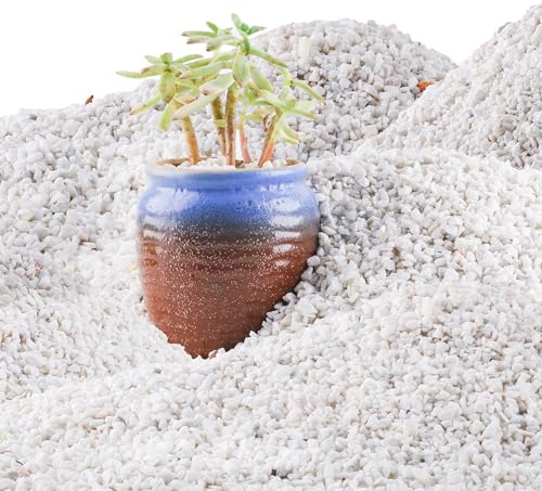 45lb White Cactus Pea Gravel Rocks,1/4 Inch Pebbles for Indoor Plants, Natural Succulent Rock and River Rocks Decorative for Aquariums, Vases, Outdoor Gardening, Top Dressing for Potted Plants