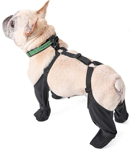 VELATEMOR Stivali per Cani con Leggings, Stivali per Zampe per Cani da Esterno, Scarpe Impermeabili per Cani per Passeggiate Invernali all'aperto in Giornate Innevate (M)