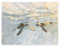 Dazzlewall Meeresschildkröte Leinwand Bilder, Lustige Schildkröte Ozean Thema Wandbilder für Badezimmer Wohnzimmer Schlafzimmer Deko 30×40 cm Ungerahmt