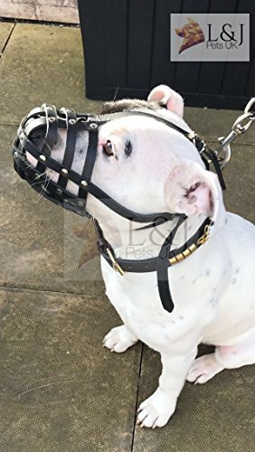 Chamion für L&J Pets UK - Leichter Maulkorb für Staffordshire Bullterrier Staffy, Staffie - S1, Schwarz, Leder