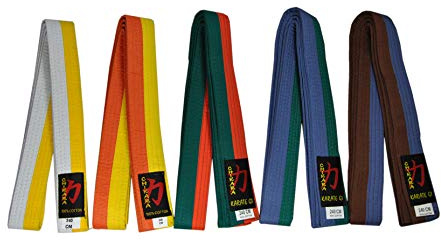 Chikara Karate Gürtel Zweifarbig (Gelb/Orange, 260)