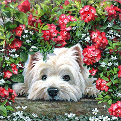 Bimkole 5D Diamond Painting Zubehör Katze Hund Blume Bilder, DIY Tiere Diamant Malerei Kit Tier Voll Runde Bohrer Malen nach Zahlen Malerei Stickerei Kreuzstich Diamond Dekoration (30x30 cm)