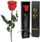 Yamonic Rose Eternelle Cadeau Femme,Vraie Rose avec Tige Cadeau Maman Fleur Préservée en Coffret Cadeau Fleur Eternelle Cadeau Anniversaire Femme,Cadeau pour Noel Saint-Valentin Femme,Rose Rouge