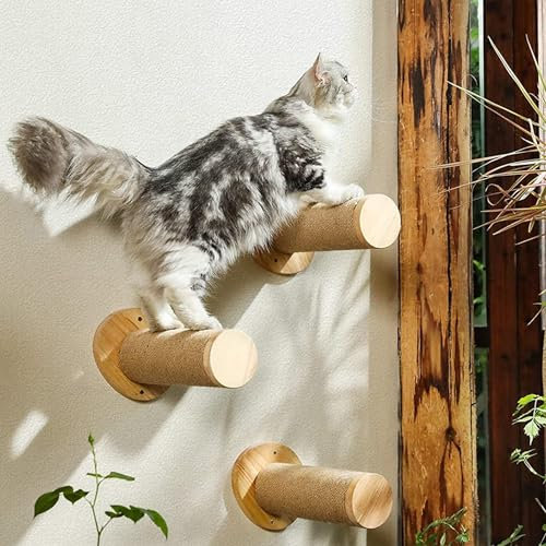 Shakub Kletterwand für Katzen,3-teilig Gummiholz Katzen Kletterwand Set,Katzen Spielwandregal,Katzen Spielwandregal,Wandkratzbaum-Katzenm,Wandregale,Anzug für Katzen Klettern,Spielen,Kratzen