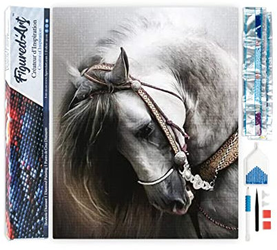 Figured'Art Diamond Painting Erwachsene 40x50cm Ganze Leinwand gerollt Großes Pferd 5D Bilder Eckige Steine - DIY Set Basteln