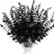 LWAIX Tiges d'Eucalyptus Artificielles - Branches et Feuilles Fausses (20, Noir)