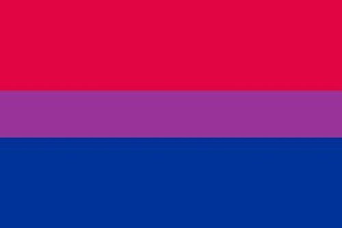 U24 Fahne Flagge Bi Pride 90 x 150 cm