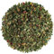 Betulla Argentata Foglia Tè - Tisana Betulla Tisana Foglie Betulla Tisana Alla Betulla Foglie Di Betulla Per Tisane
