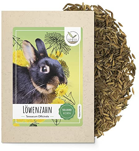 Löwenzahn Samen für Kaninchen - Wildkräuter Saatgut als optimale Futterergänzung für Kaninchen, Meerschweinchen und Schildkröten (50.000 Samen)