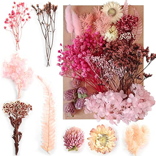 Disnace Natürliche Getrocknete Blumen, Blumen Natürliche Gemischte, DIY Natürliche Trockenblumen Set für Kunst Basteln DIY Epoxidharz Formen, Scrapbook Zubehör Karten Machen (rosa)