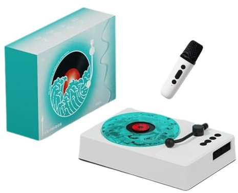 Vintage Vinyl Schallplattenspieler Stil Bluetooth Lautsprecher Retro Phonograph Lautsprecher Geschenke Karaoke RGB für Freundin mit Lichtern klein