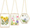 Glasrahmen mit gepressten Blumen, goldener Glas-Bilderrahmen zum Aufhängen, mit Kette, schwimmende DIY-Kunstwerk-Display-Rahmen in 3 Größen für getrocknete Pflanzen, Exemplare, Kinder, Kunst, Foto,