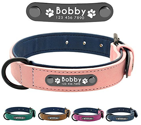 Didog Soft PU Leather Padded Custom Dog Collar with Personalized Nameplate and D Ring, Engraved Dog Collars for Small Medium Large Dogs,Pink,M