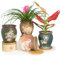 ARTKETTY Lot de 4 pots de plantes grasses avec drainage, pots de bonsaï émaillés avec plateau en céramique pour plantes d'intérieur