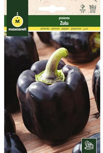 Mascarell Semillas, PIMIENTO, Semillas Huerto, PIMIENTO ZULU, Crea tu Propio Huerto Urbano y Cultivo en Casa, Plantas Hortícolas, 0,5 Gramos