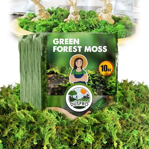 DUSPRO Green Forest Moss for Crafts, Real Dried Decorative Moss, 10 oz