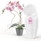 Garten lux Lot de 10 Pots à orchidée en Plastique Transparent avec Trous - Diamètre : 17 cm - Hauteur : 13 cm - pour orchidées - pour l'intérieur - 1,5 l