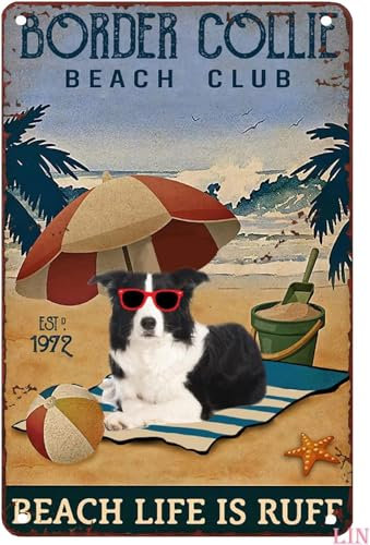 kisoyo Metallschild Border Collie Beach Club Beach Life is Ruff Retro Dekor Zuhause Küche Bar Cafe Club Höhle Wanddekoration Vintage Blechschild 20,3 x 30,5 cm