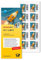 DEUTSCHE P0ST 10x 1,80€ Briefmarken selbstklebend, für Großbriefe bis 500g national & Kompaktbriefe bis 50g international, inkl. 10 Briefumschläge C4