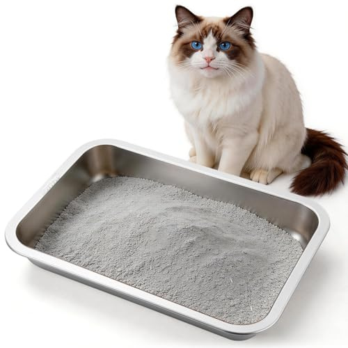 NOLITOY Stainless Steel Cat Litter Box (31.50X21.50X4.50CM): Low Entry Small Metal Litter Tray for Kitten Rabbit Guinea Pig, Non-Stick Odor Control Pet Toilet for Crate Cage Travel Potty Trainin