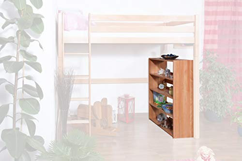 Steiner Shopping Bücherregal Dominik Buche Vollholz massiv Natur