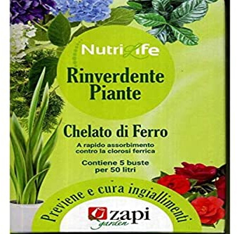 Zapi Concime Rinverdente 5 Buste Da 20 Grammi