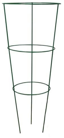 Selections Single (48 Centimeter) Conical Garden Plant Support Ring