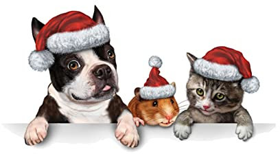 Wzxhew Christmas Refrigerator Wall Stickers Animals Wear Christmas Hats Stickers Toilet Seat Self Adhesive Paper Rowing Stickers (Red, One Size)