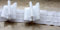 Gardinenband,Faltenband 2,5:1, 60 mm,weiß, 10,0 lfm