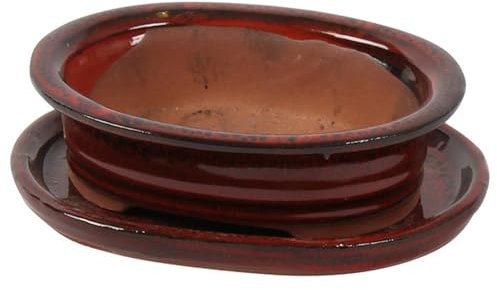 Bonsai Pot with Saucer - Oval Shape, 15cm Wide, Deep Red - Perfect for Bonsai Trees and Succulents