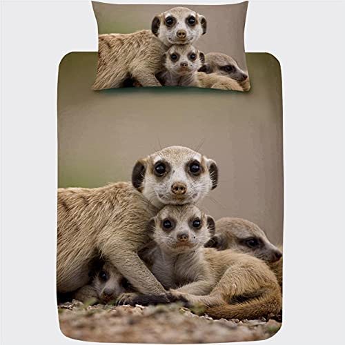 WQIZXCW Bettwäsche 135x200 Erdmännchen Bettbezug Set 120gsm Mikrofaser 2 Teilig - Weich Bettbezüge und Kissenbezug mit Reißverschluss