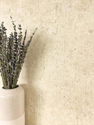 Newroom Tapete Beige Vliestapete Beton - Universal Modern Creme Unifarbe Struktur Einfarbig Industrial Betonoptik Betonwand inkl. Tapezier-Ratgeber