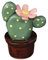 LJJCSFF Mini figuras de plantas de cerámica de cactus de imitación surtidas suculentas artificiales de cerámica, flores suculentas, plantas falsas 3D hechas a mano de cerámica suculenta