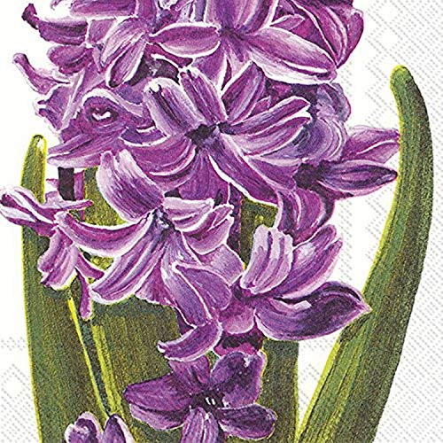 Boston International L734100 IHR 3-lagig Papierservietten, Papier, Flieder Hyazinthe