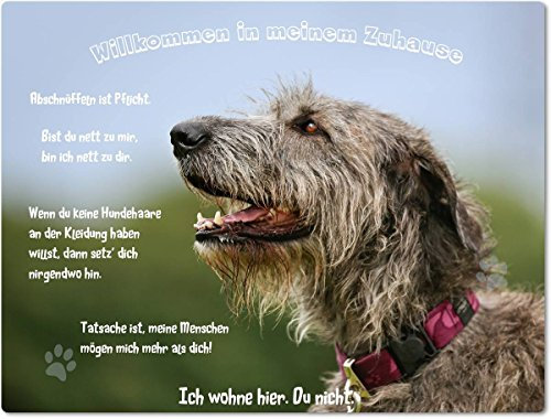Merchandise for Fans Blechschild/Warnschild/Türschild - Aluminium - 20x30cm - - Willkommen in Meinem Zuhause - Motiv: Irischer Wolfshund Porträt - 02