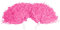 Wakects 2 Stück Multicolor Cheerleading Pom Poms Cheer Pompoms Cheerleader Flower Balls Cheerleading Party Kostüm Sportzubehör(Rosa)
