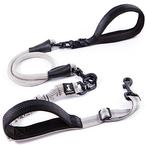 Strapazierfähige Bungee-Leine für große und mittelgroße Hunde mit Anti-Zug für Stoßdämpfung, rutschfeste, reflektierende Leine für draußen (verstellbar, Premium-Silver, Bungee-Leine, 150 cm)