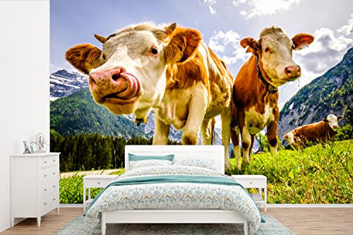 Selbstklebend Tapete Wandpapier Wandaufkleber Fototapete Tapeten Wanddeko 600x400 cm Kühe - Berge - Gras - Landschaft - Alpen