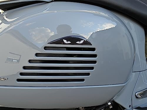 Vespa GTS 125 200 250 300 GTV Aufkleber für die hintere rechte Seite mit Lüftungsschlitzverlängerung,laminiertes Bild auf Vespa