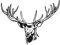 Wandtattoo Hirsch 001 - S - 50cm x 38cm - 23 mögliche Farben
