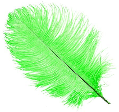 WedDecor Extra Large Green Natural Ostrich Feathers 19-23 (50-60cm) Long for Wedding Centerpieces, Home, Decorating Costumes, Embellishment, Art & Craft, Parties (Pack of 10)