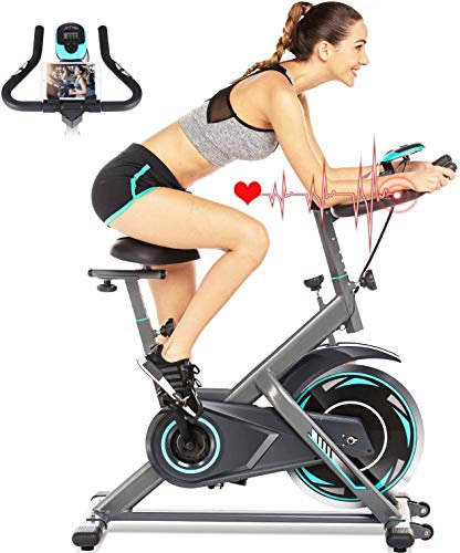 ANCHEER Spinning-Fahrrad Heimtrainer mit Trägheitslenker, LCD-Display, Impulssensor, Verbindung mit der App Lenker und Sattel verstellbar, maximale Traglast 120 kg (Grau, Schwungrad 10 kg)