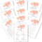 STUDIO MANALI 10 Spiele EVJF | 150 Karten (15 pro Spiel) | Junggesellinnenabschied | Braut-Set
