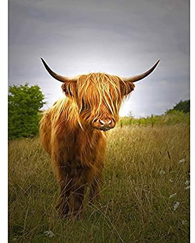 Wee Blue Coo Farm Livestock Animal Highland Cow Calf Scotland Large Art Print Poster Wall Decor 18x24 inch