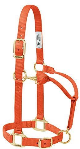 Weaver Leather Original Verstellbares Pferdehalfter aus Nylon, klein, Orangerot