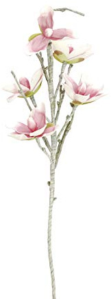 EUROPALMS Magnolienzweig (Eva), künstlich, weiß-rosa | Magnolie mit fünf detailreichen Blüten